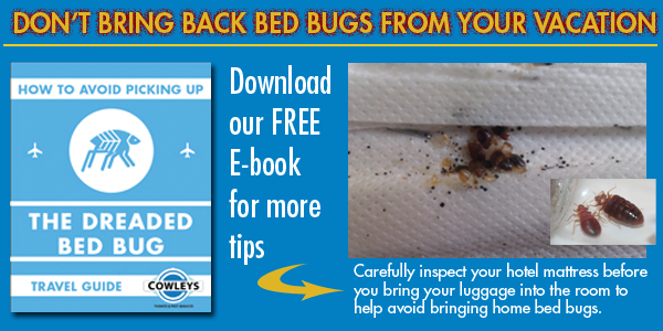 Bedbug Travel Alert