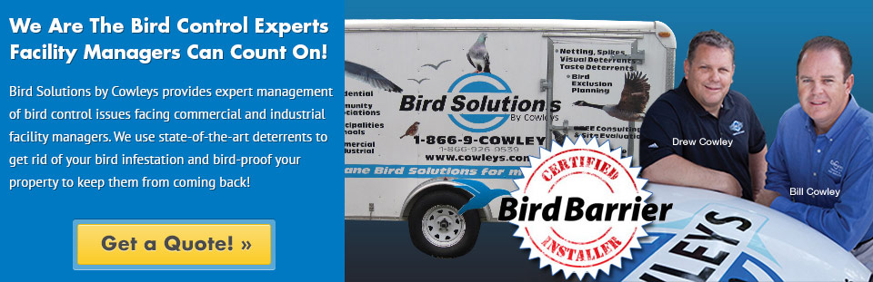 Professional Bird Control Specialists by Cowleys owners